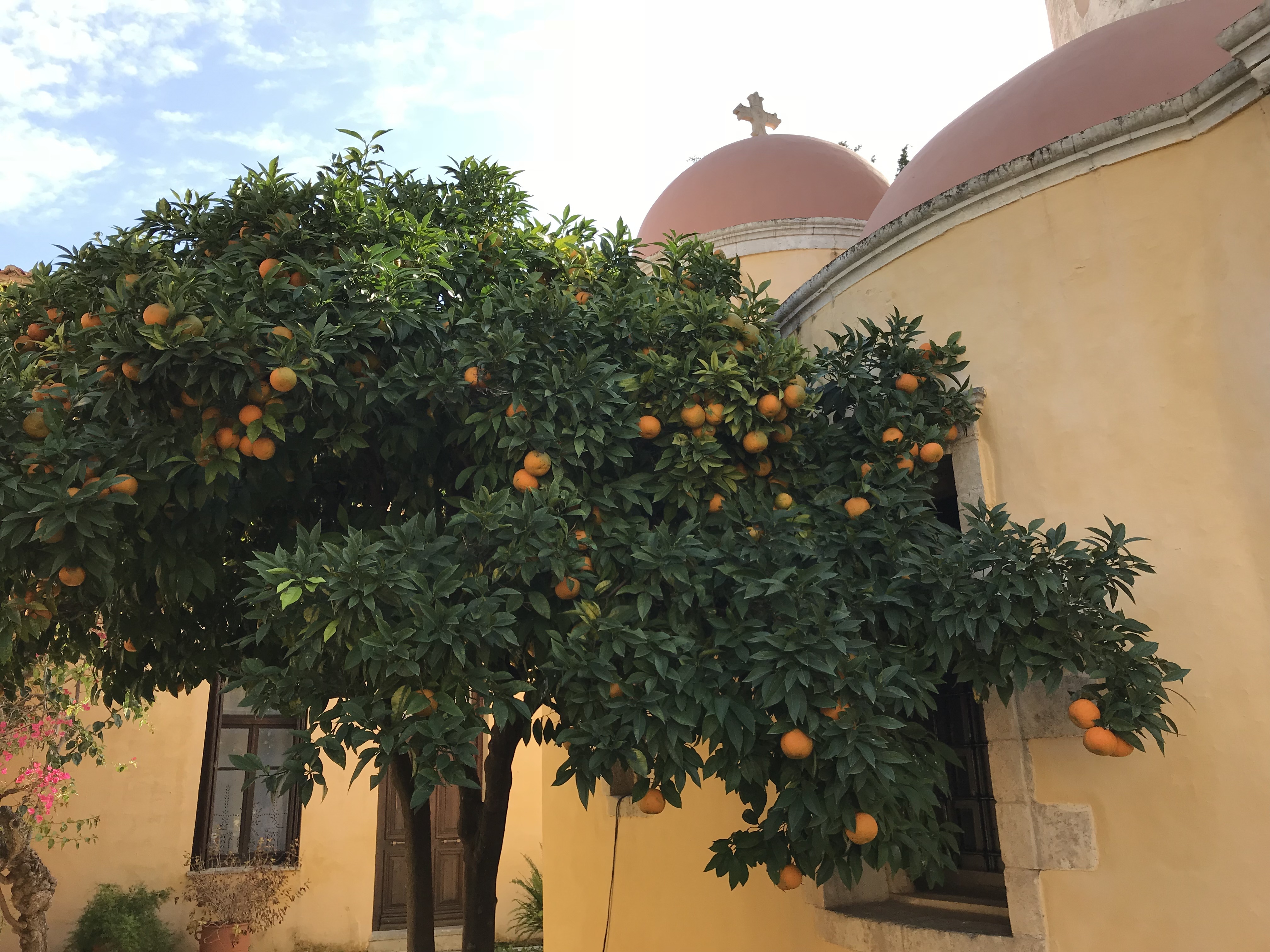 Kloster-Orangen